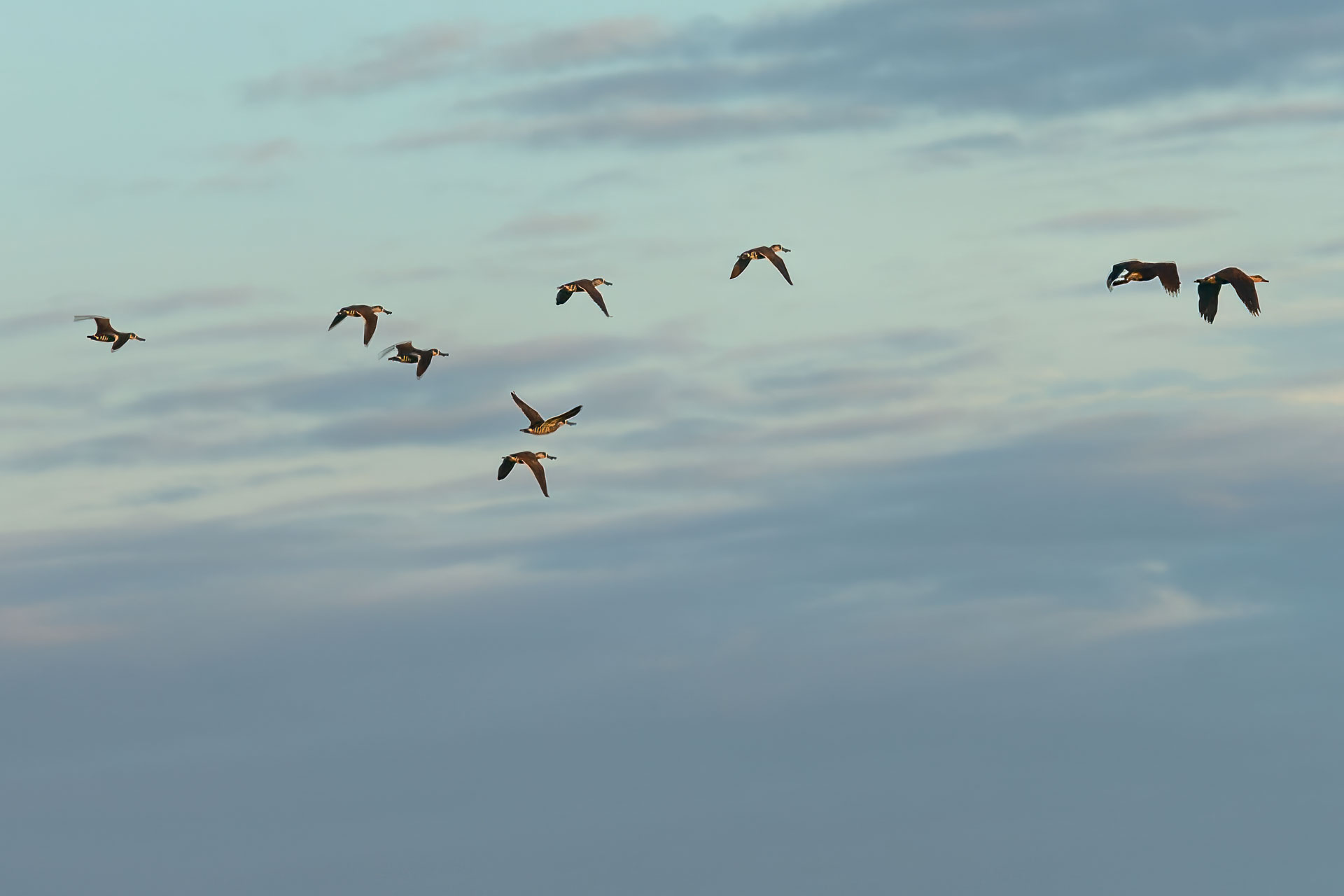 Kakadu National Park - Bootstour im Yellow Water Billabong